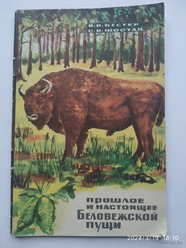 Прошлое и настоящее Беловежской пущи / Кестер Б. В., Шостак С. В.(1968 г.)