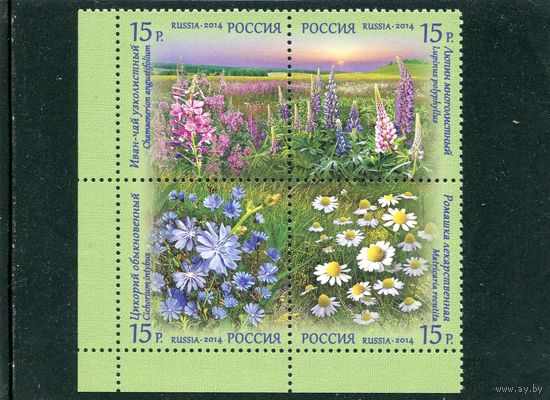 Россия 2014. Полевые цветы. Квартблок