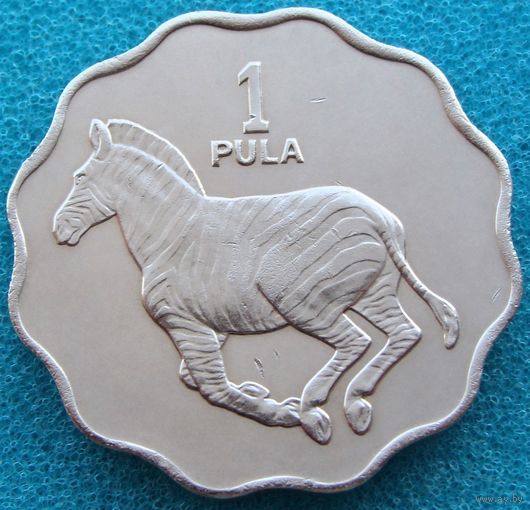 Ботсвана. 1 пула 1976 года  KM#8  "Зебра Чапман"   Тираж: 166.000 шт