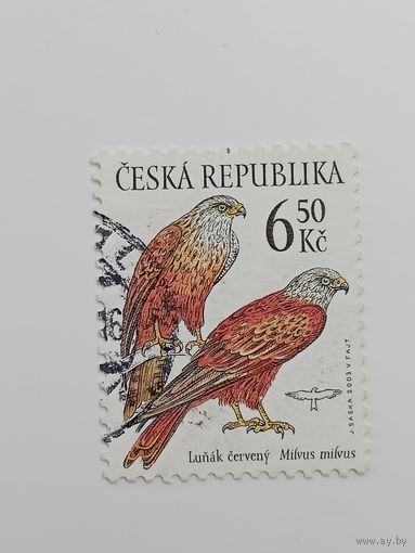 Чехия 2003. Охрана природы - Редкие птицы-грифоны