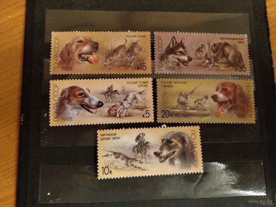 1988 СССР Загорский 5879-5883 собаки фауна чистая полная серия клей MNH** (3-4)