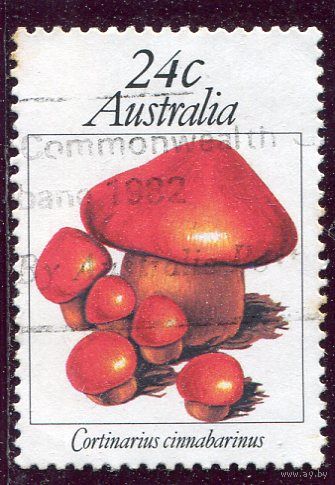 Австралия. Грибы
