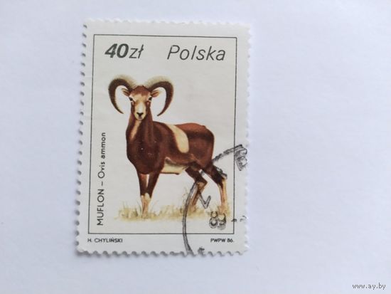 Польша 1986  муфлон