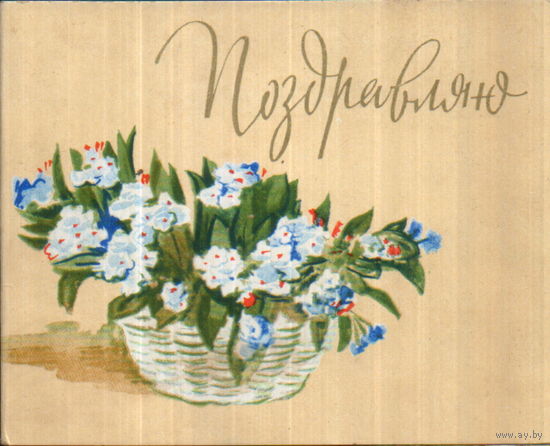 Подписанная двойная открытка 1962г. "Поздравляю! Цветы в корзине" худ. Н. Васильев
