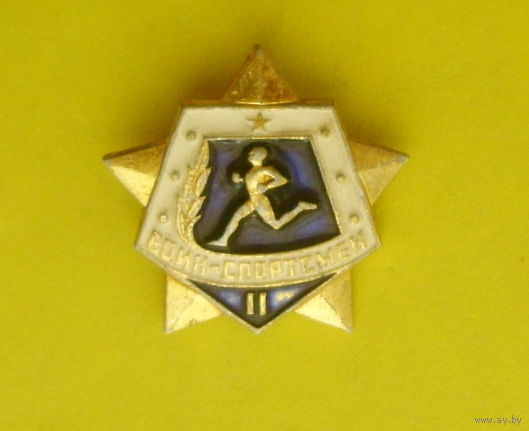 Воин-спортсмен. 2 степень. 489.
