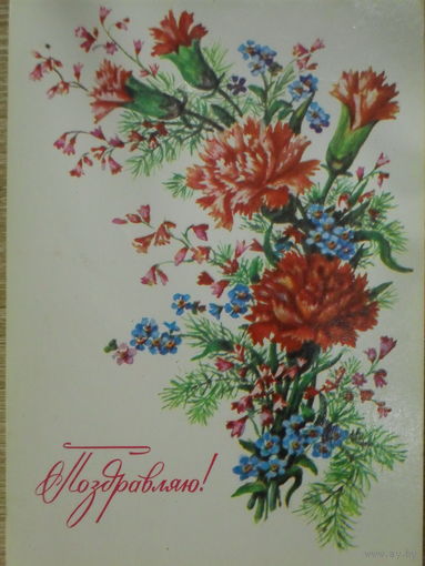 ЧИСТАЯ ОТКРЫТКА СССР. ПОЗДРАВЛЯЮ! худ. Л. ГАСИЕВА. 1983 год.