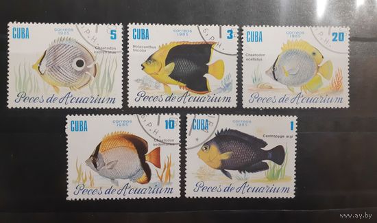 Куба. 1985 год. Фауна. Рыбы (21)