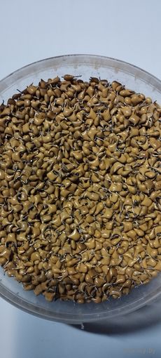 Конденсаторы КМ.