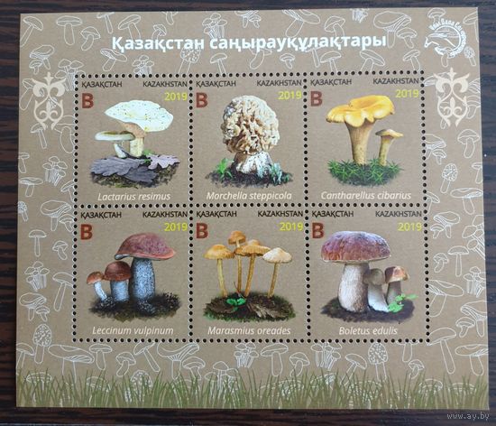 20192019 Грибы-Казахстан