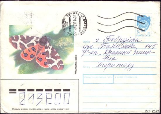 1990 год ХМК Медведица-кайя 90-513