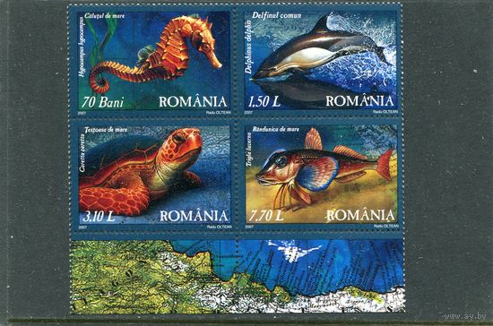 Румыния. Фауна Черного моря, вып.2007