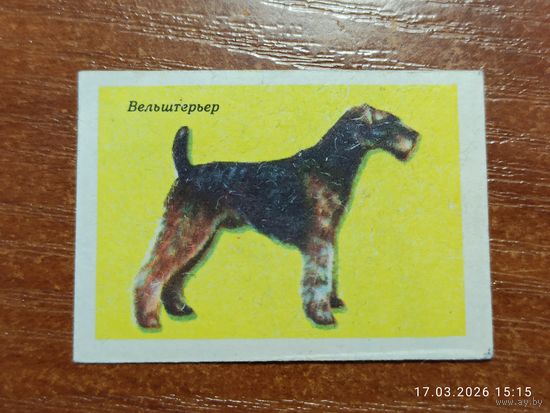 Спичечная этикетка Вельштерьер