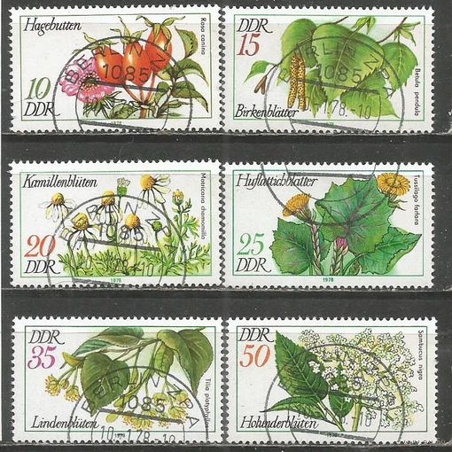 ГДР. Цветы. 1978г. Mi#2287-92. Серия.
