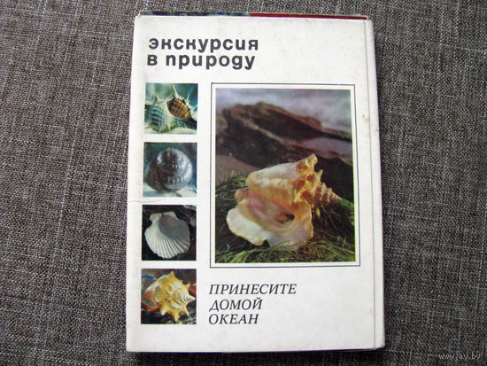 Экскурсия в природу. Принеси домой океан (ракушки) Выпуск 1