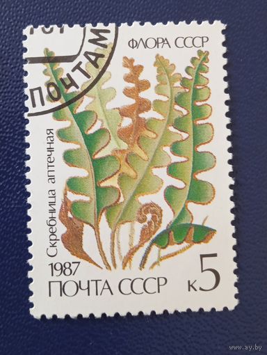 Ссср