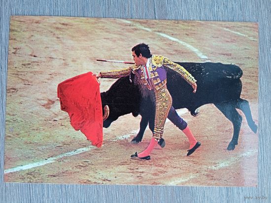 Этнография. Испания, коррида