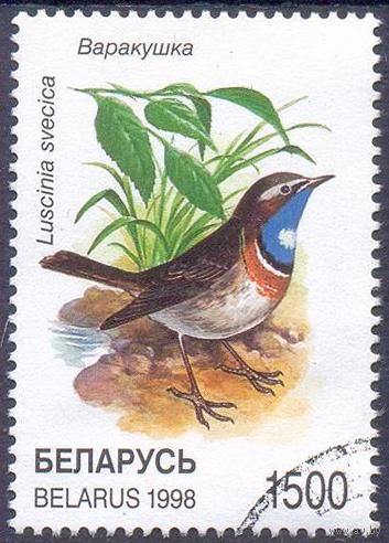 Беларусь фауна птицы