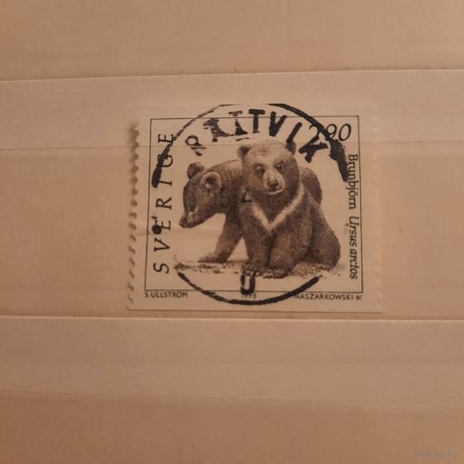 Швеция 1993. Фауна. Медвежата