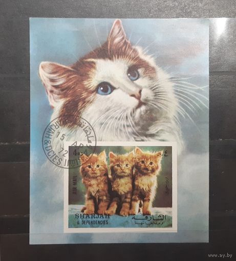 Шарджа. 1972 год. Фауна. Кошки. Блок (617)