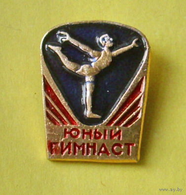 Юный гимнаст. 188.