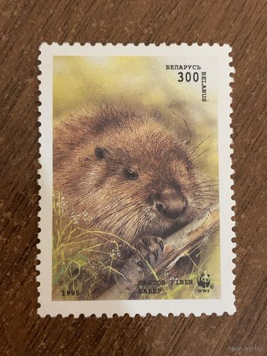 Беларусь 1995. Бобёр. Марка из серии