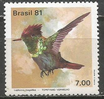 Бразилия. Птицы. Калибри-кокетка. 1981г. Mi#1824.