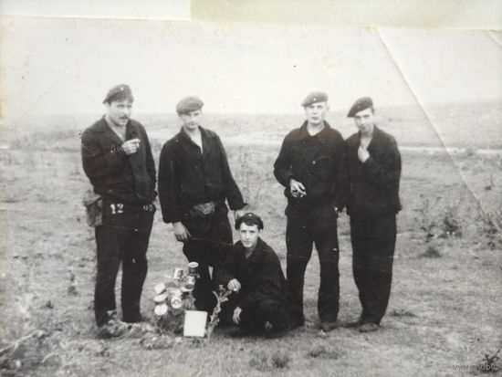 Фото в коллекцию