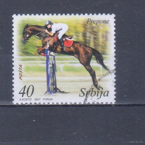 [180] Сербия 2007. Спорт.Всадник.Лошади на почтовых марках. Гашеная марка.