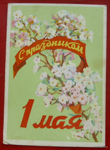 1 мая! Чистая. 1959 года. Шлыков. 1356.