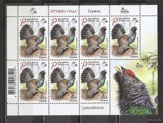 ФФ1 Беларусь 2020 Глухарь