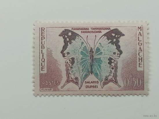 Мадагаскар 1960. Бабочки