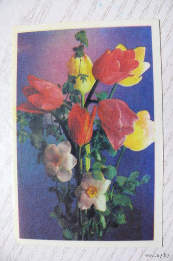 Календарик, 1987, Цветы (тюльпана, нарциссы), изд. Грузия.