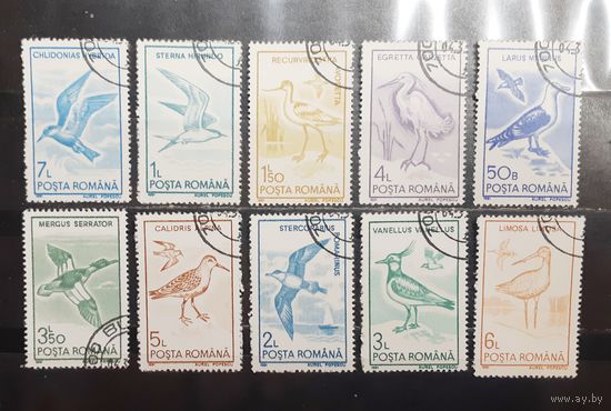 Румыния. 1991 год. Фауна. Птицы (1314)