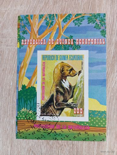 М-11. БЛОК. ЭКВАТОРИАЛЬНАЯ ГВИНЕЯ. ФАУНА.