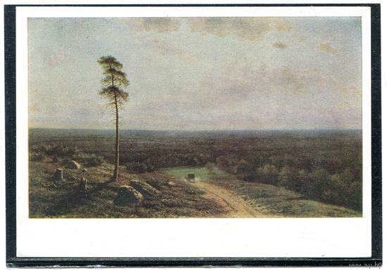 Клодт М К. Лесная даль в полдень.  1964