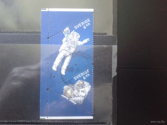 Швеция 2009 Космос, сцепка