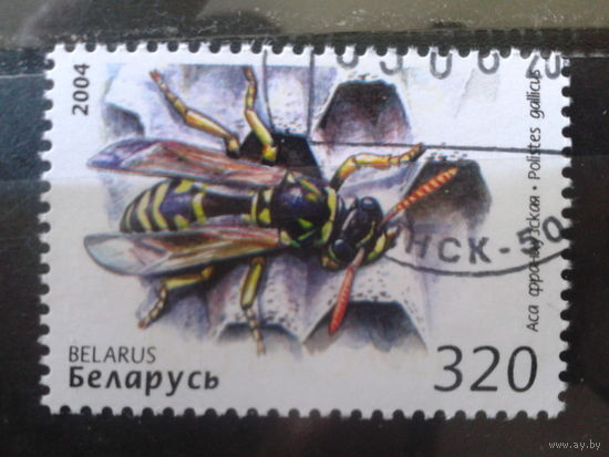 2004 Оса