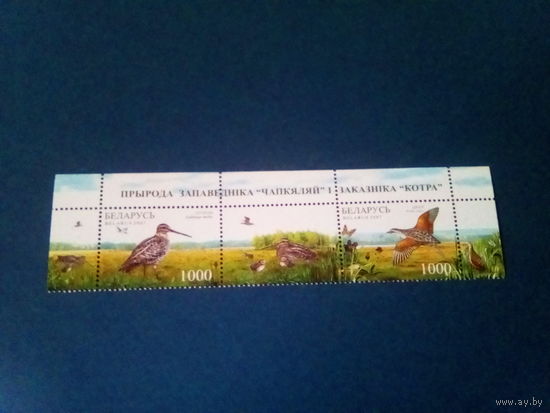 Беларусь 2007 заповедники