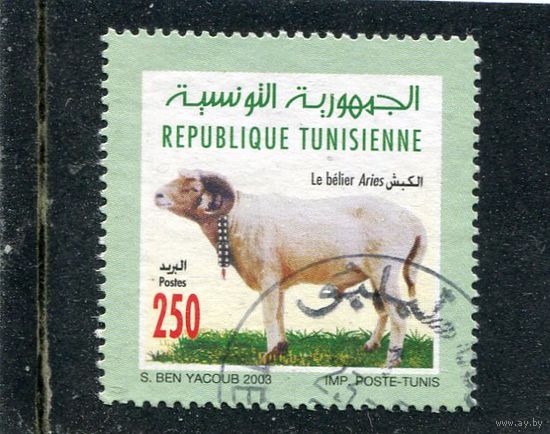 Тунис. Фауна. Архар