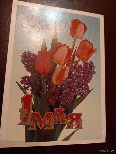Дергилев 1 Мая