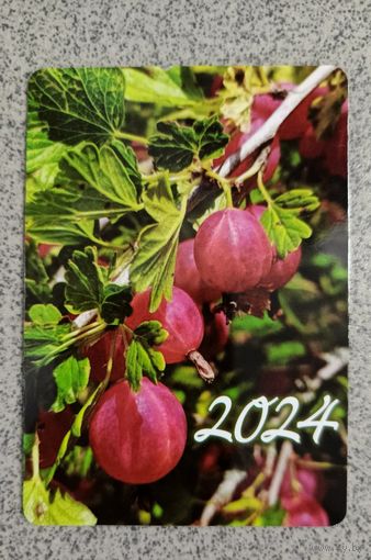Календарик карманный 2024 крыжовник флора