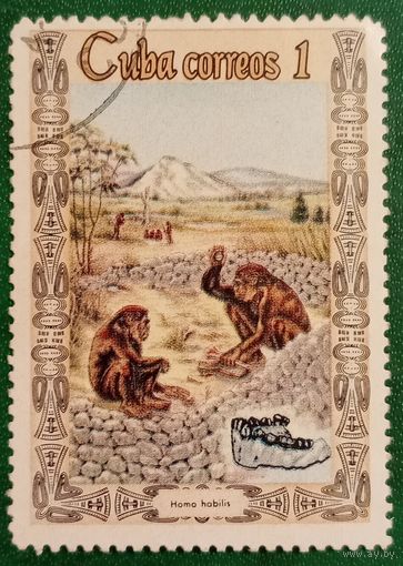 Куба 1967. Антропология. Homo Habilis