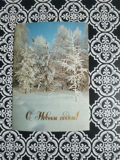 Открытка СССР 1989 год. Чистая. Ю.Буркин. Состояние на скане.