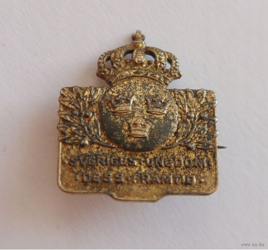Знак патриотический, номерной 1938-1939 год. - серебро, позолота -