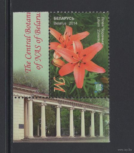 Флора цветы Беларусь 2014 Центральный ботанический сад "Лилия"Зоренька"