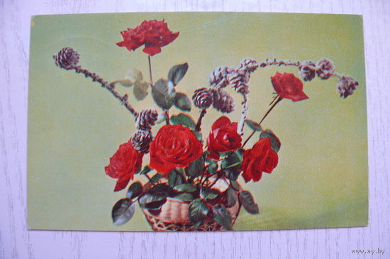 Садловская Л., Мезенцев М., С днем рождения! 1975, подписана.