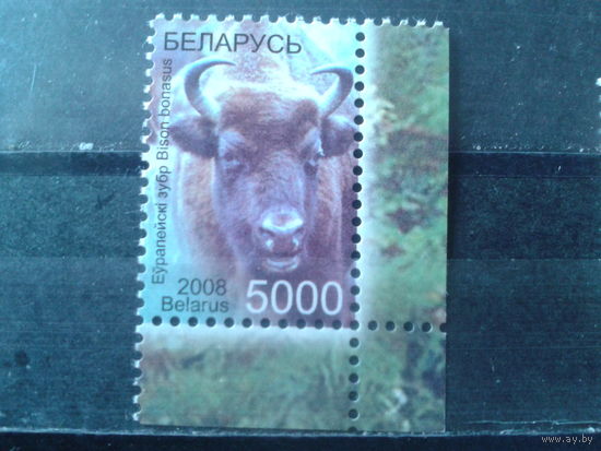 2008 Стандарт, зубр** угол