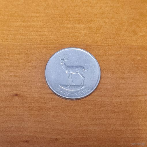 25 филсов ОАЭ 2007