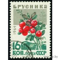 Марка СССР 1964. 3136.  Ягоды. Марка из серии 3136