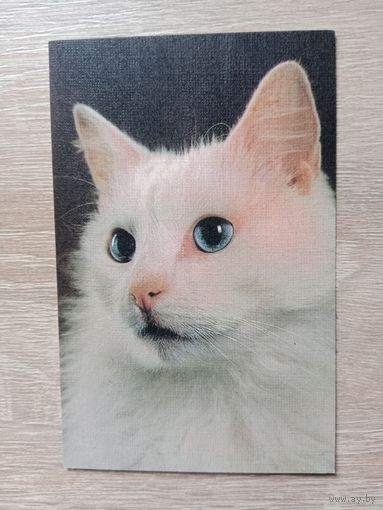 Календарик 1990